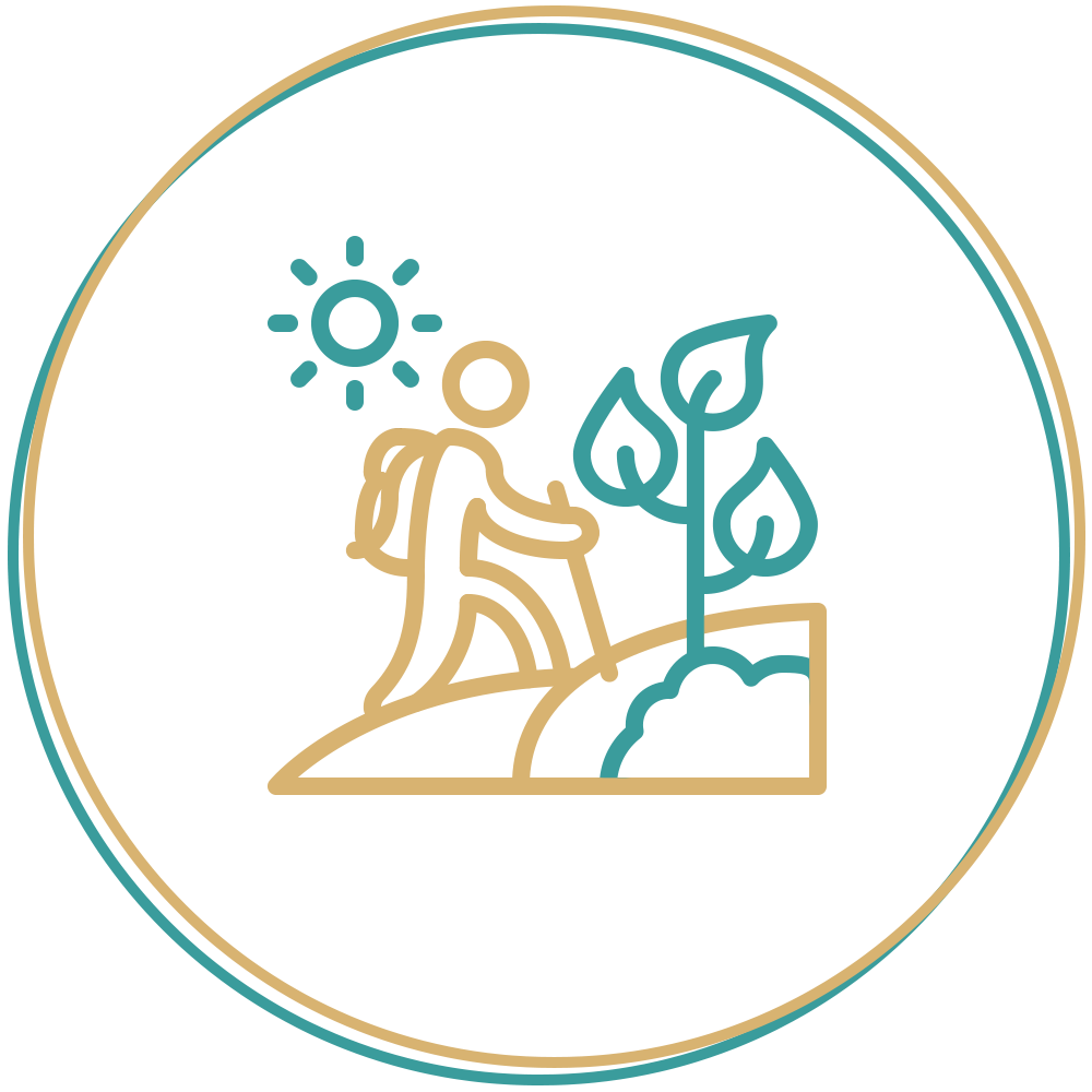صناعة السياحة والترفيه وإدارة الفعاليات